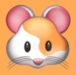 黄游APP应用