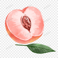 WWW,av359·COM网站APPAPP应用